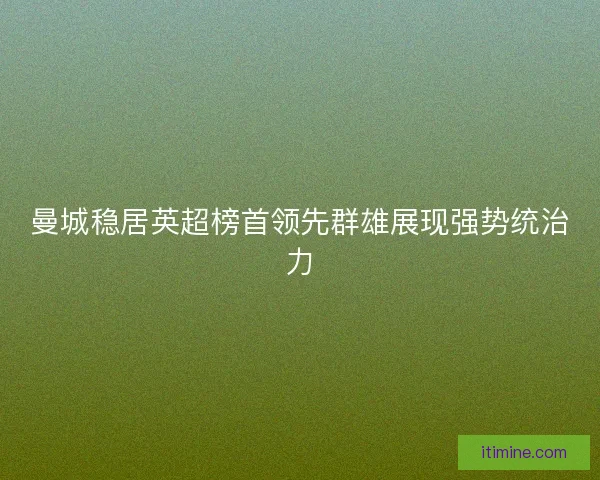 曼城稳居英超榜首领先群雄展现强势统治力