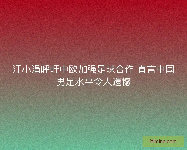 江小涓呼吁中欧加强足球合作 直言中国男足水平令人遗憾